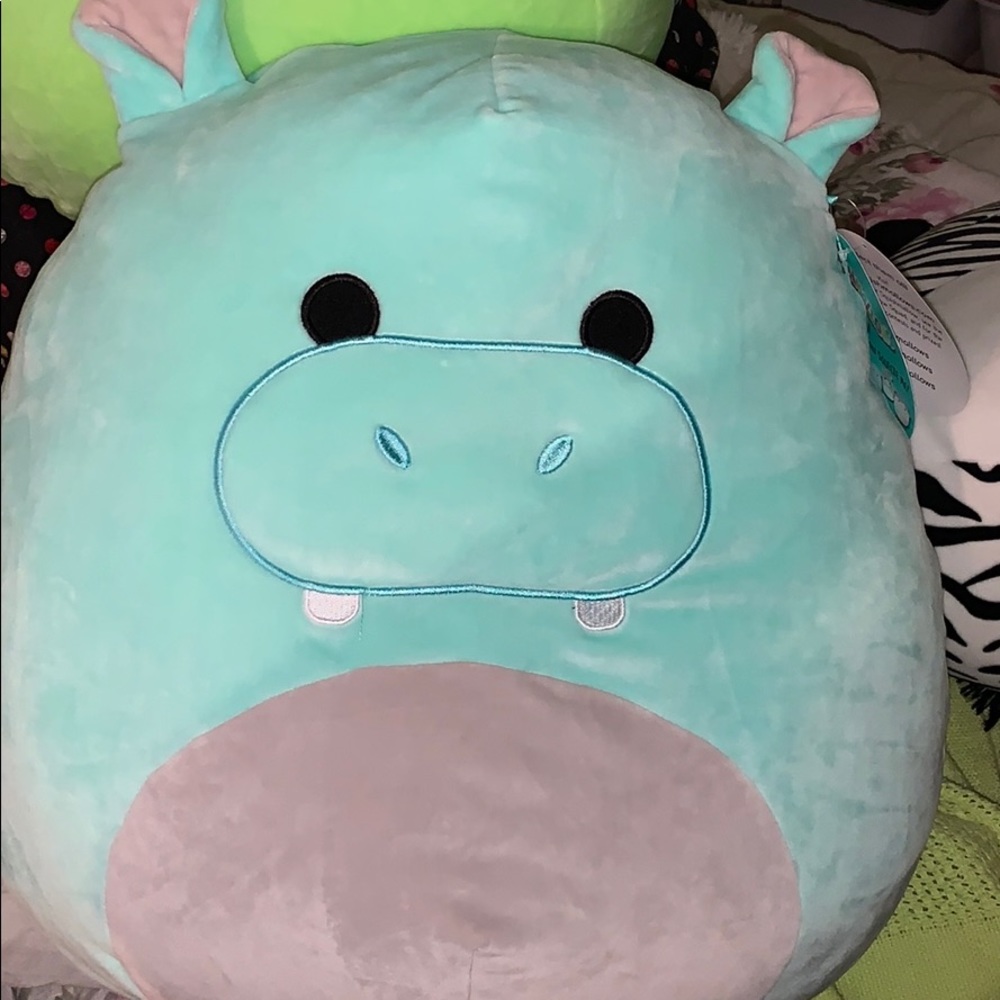 Hippo squishmallow